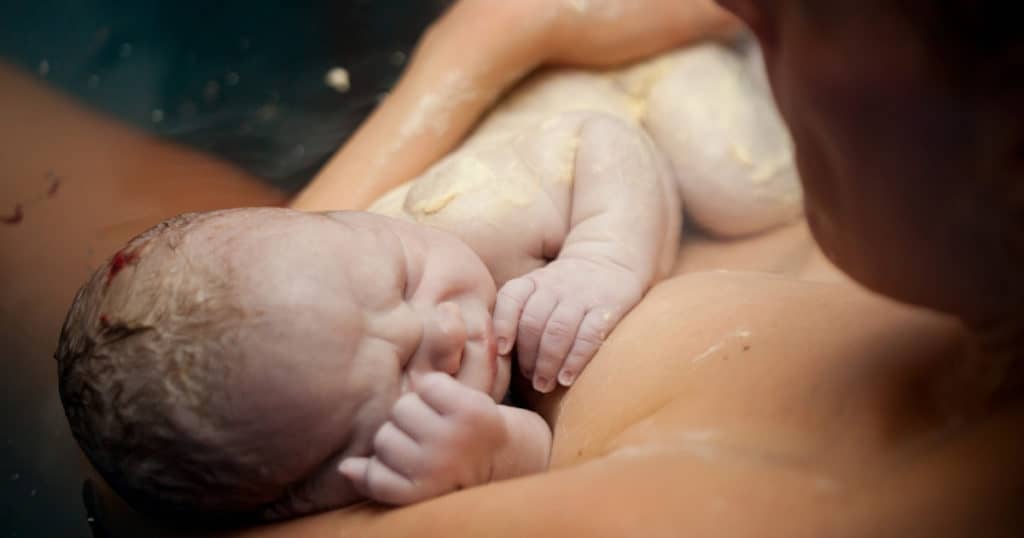 What is vernix?
