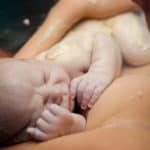 What is vernix?