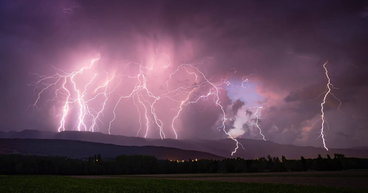Lightning Crotch