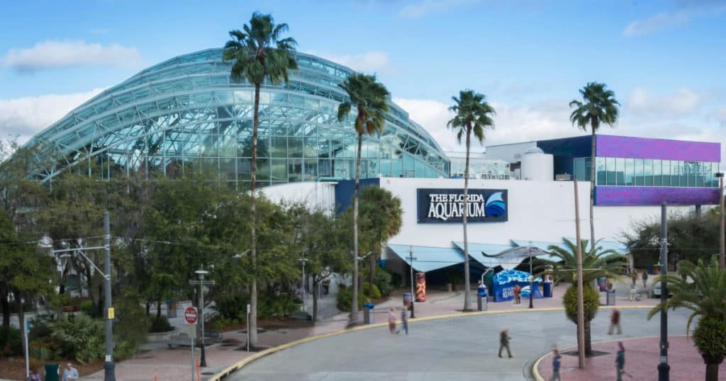 the florida aquarium