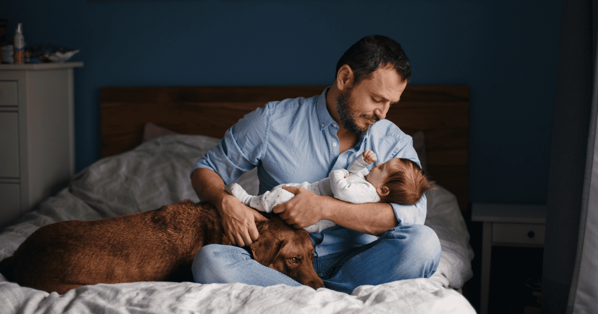 introducing your pet to your baby