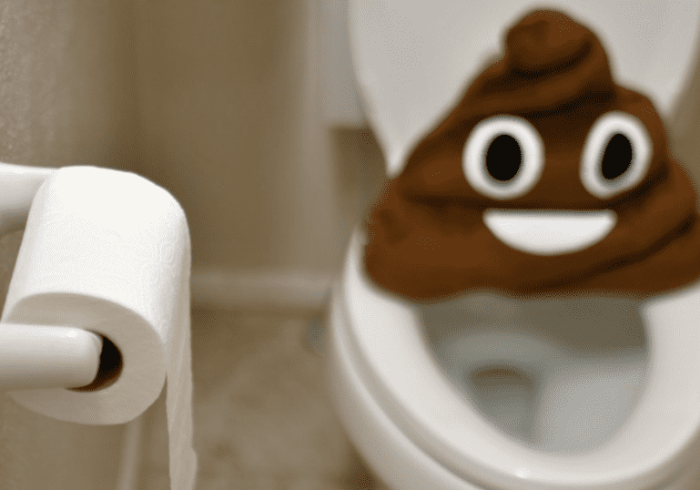 A Poop Emoji Next to a Toilet representing pregnancy constipation