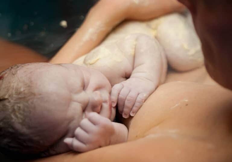 What is vernix?